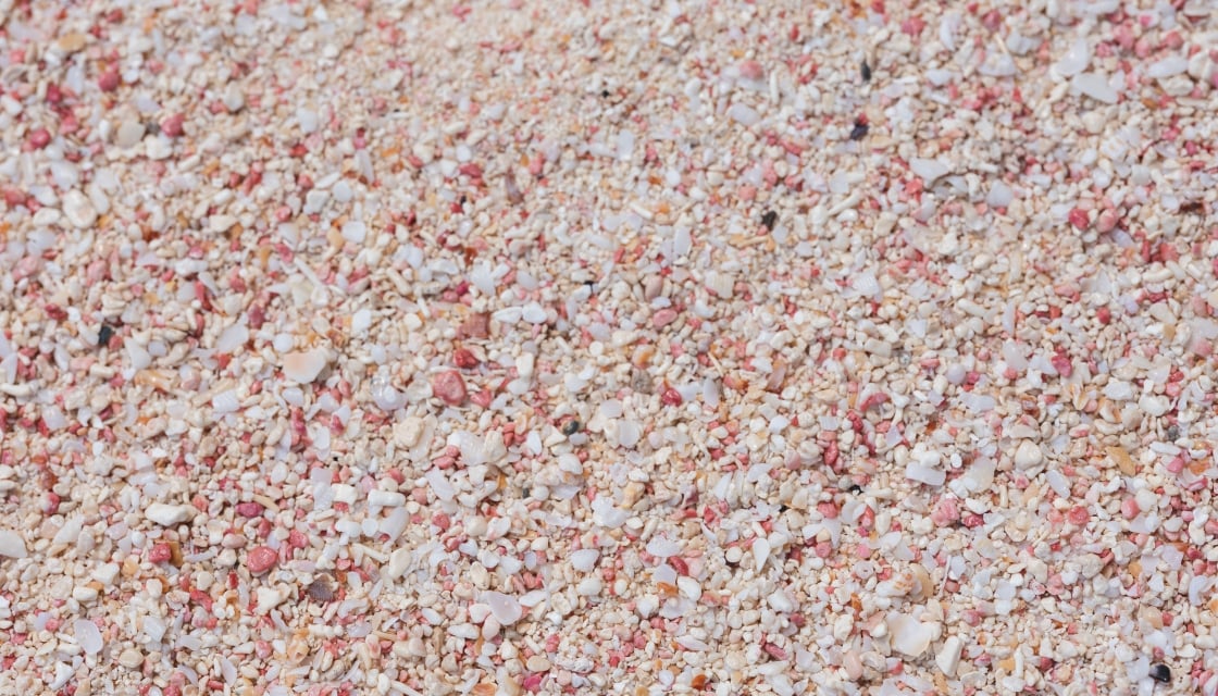 warwicklongbay-textures-5_2